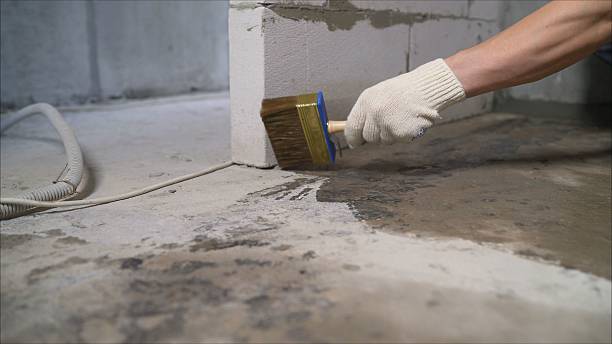 Top rated local Basement Waterproofing specialists in Sharps Chapel, TN